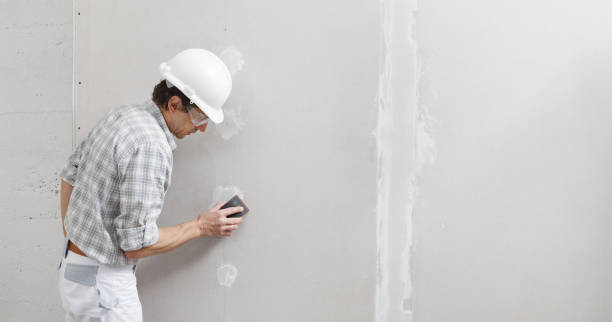 Best Wallpaper Removal and Painting  in USA